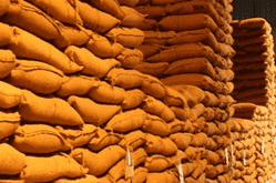Soybean Storage