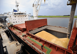Soybean Shipping